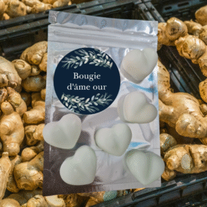 Fondants parfumés — Senteur Gingembre