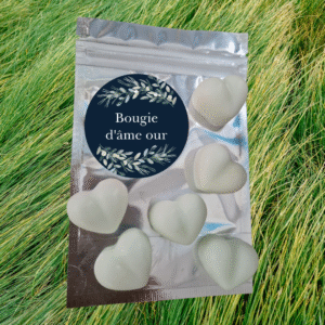 Fondants Parfumés Vétiver 