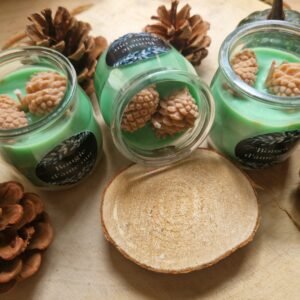 Bougie parfumée Pin des Landes